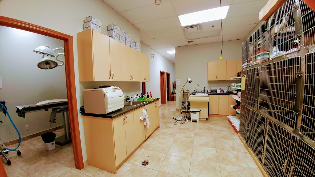 White Oaks Animal Hospital | 1070 Wellington Rd, London, ON N6E 3V8, Canada | Phone: (519) 204-7826