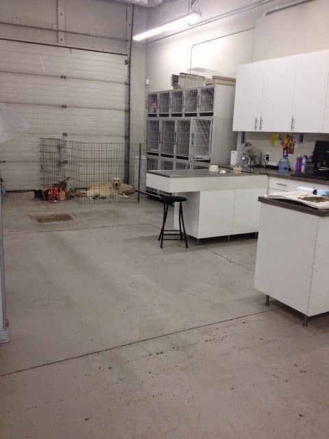 Calgary Pet Wellness and Spay & Neuter Clinic | 3563 52 St SE, Calgary, AB T2B 3R3, Canada | Phone: (403) 569-7387