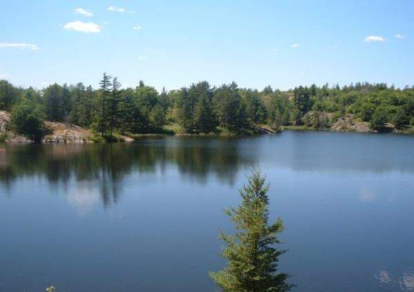 Silver Maple Campground | 101 Nagy Rd, Nairn Centre, ON P0M 2L0, Canada | Phone: (705) 866-0505