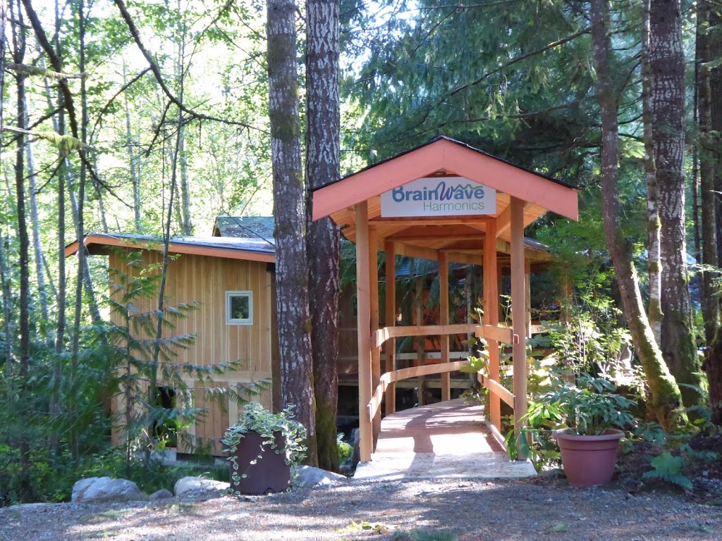 Brainwave Harmonics | 4280 Sunrise Rd, Duncan, BC V9L 6G6, Canada | Phone: (250) 701-0360