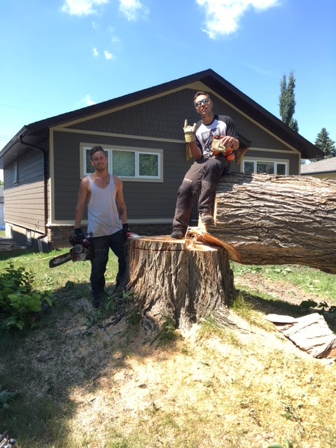 Symmetree Arborist Services | 138 Riverglen Park SE, Calgary, AB T2C 3Z1, Canada | Phone: (587) 229-8060