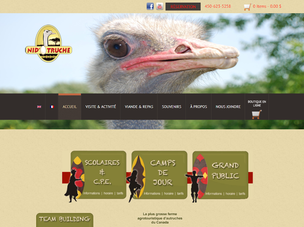 Froggynet | 190 Chemin Parkview, Saint-Adolphe-dHoward, QC J0T 2B0, Canada | Phone: (514) 662-3771
