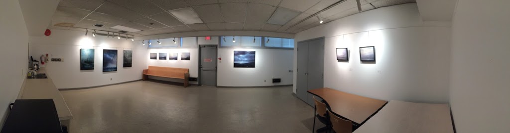 Arts Council of New Westminster | The Gallery at Queens Park Centennial Lodge, Queens Park, New Westminster, BC V3L 1C3, Canada | Phone: (604) 525-3244