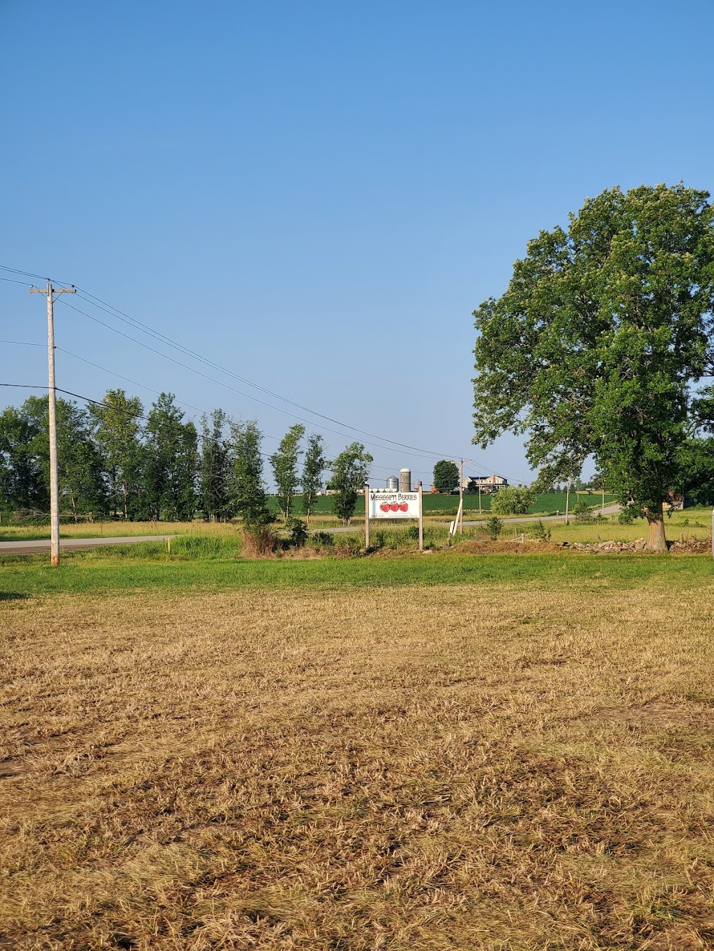 Mississippi Berries | 2430 Ferguson Falls Rd, Lanark, ON K0G 1K0, Canada | Phone: (613) 259-9911