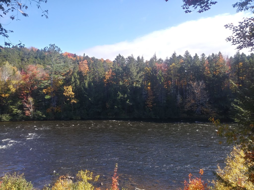 Androscoggin Wayside Park | Route 16, Milan, NH 03588, USA | Phone: (603) 538-6707