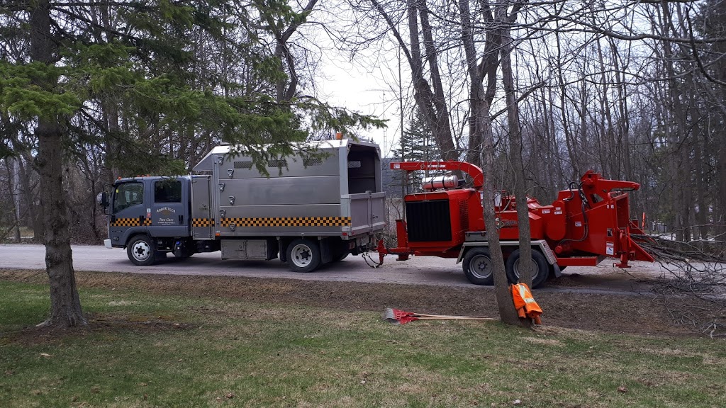 Arbor Tech Tree Care | 2360 Brock St, Manilla, ON K0M 2J0, Canada | Phone: (800) 327-3653