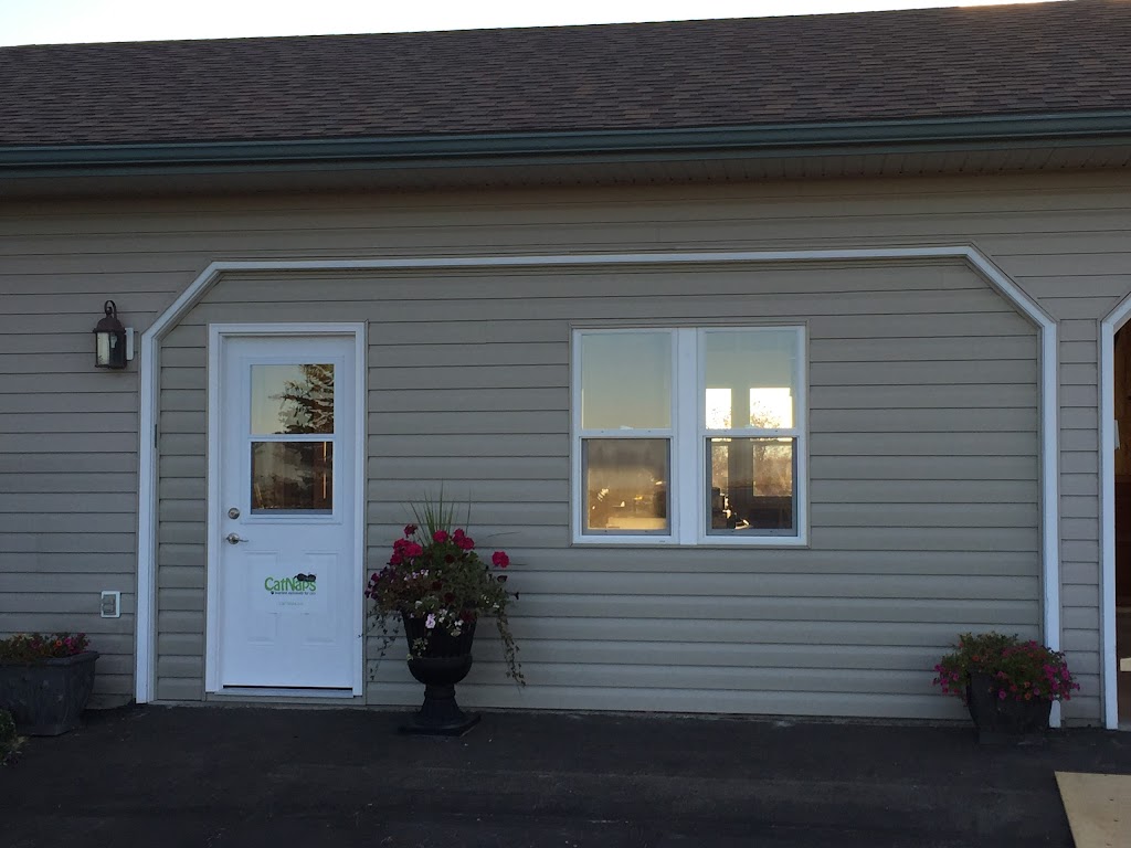 CatNaps Boarding Exclusively for Cats | 338072 40 St W, DeWinton, AB T0L 0X0, Canada | Phone: (403) 982-2287