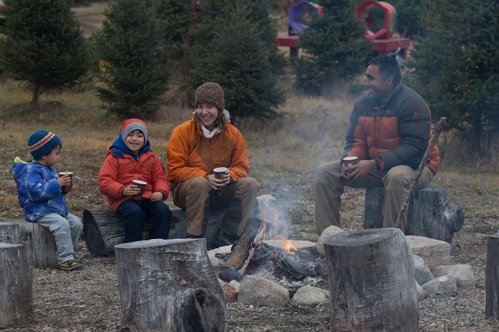 MacGowans Christmas Tree Farm | 4611 Mohrs Rd, Kinburn, ON K0A 2H0, Canada | Phone: (613) 862-6835