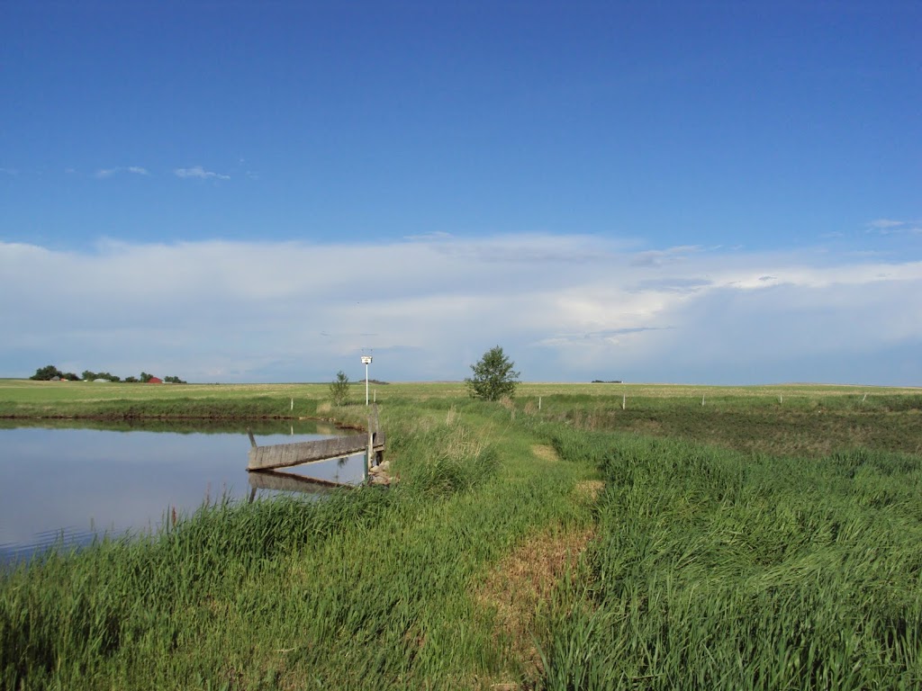 Butterfly Gulch | 235064, Township Rd 280, Wheatland County, AB T0J 2R0, Canada | Phone: (403) 630-0095