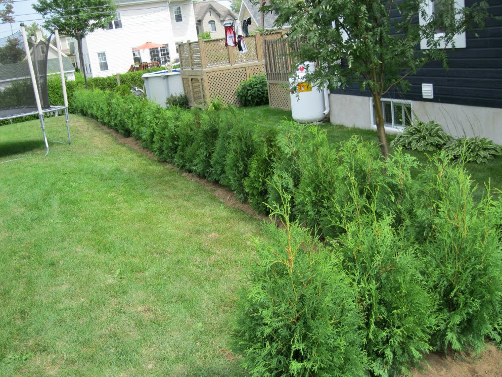 Cedres Dupont Inc | 8075 Chemin Sainte-Marguerite, Trois-Rivières, QC G9B 0M1, Canada | Phone: (819) 377-9000