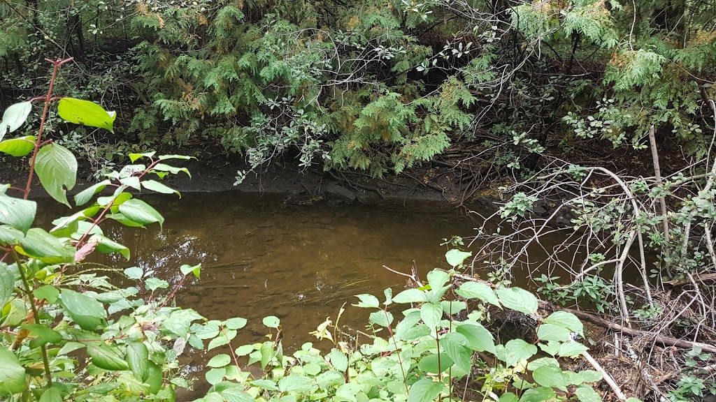 Poole Creek Park | 10 Warner-Colpitts Ln, Stittsville, ON K2S 0S4, Canada