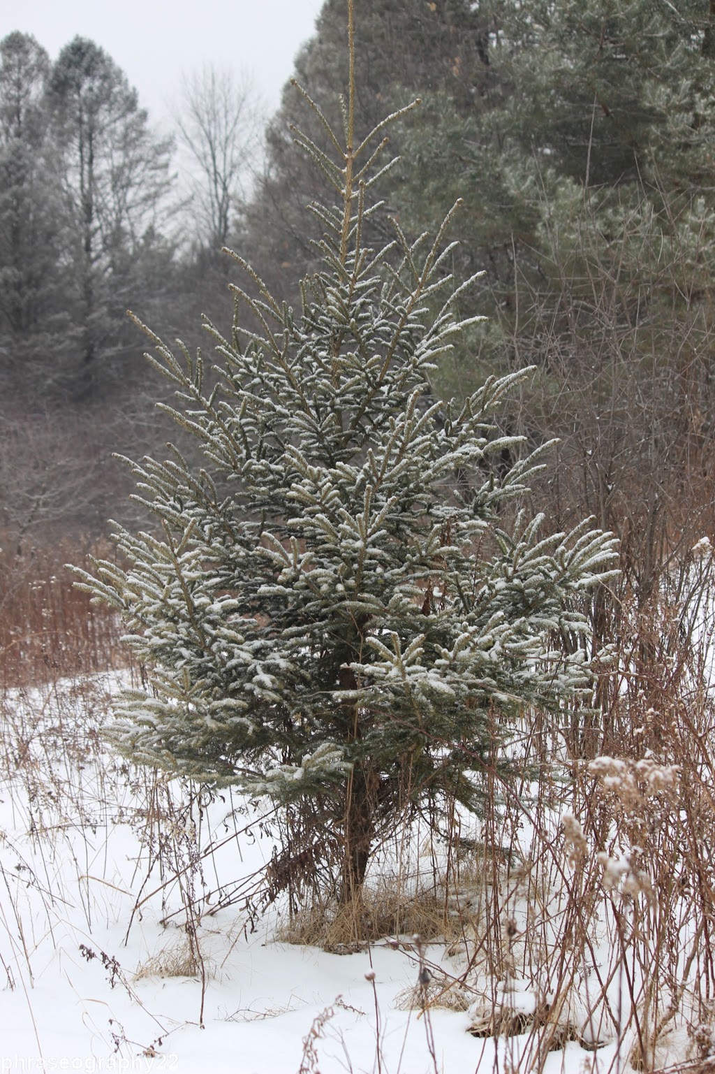 Walker Woods | Goodwood, ON L0C 1A0, Canada