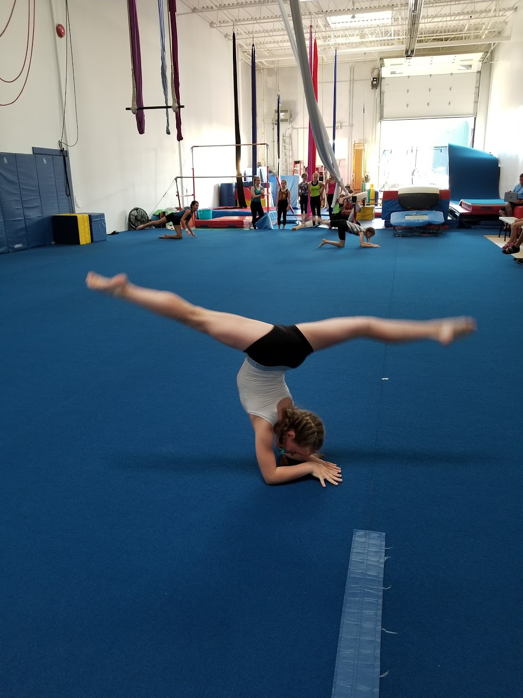 Prestige Circus & Gymnastics School Inc. | 5311 John Lucas Dr, Burlington, ON L7L 6A8, Canada | Phone: (905) 335-4237