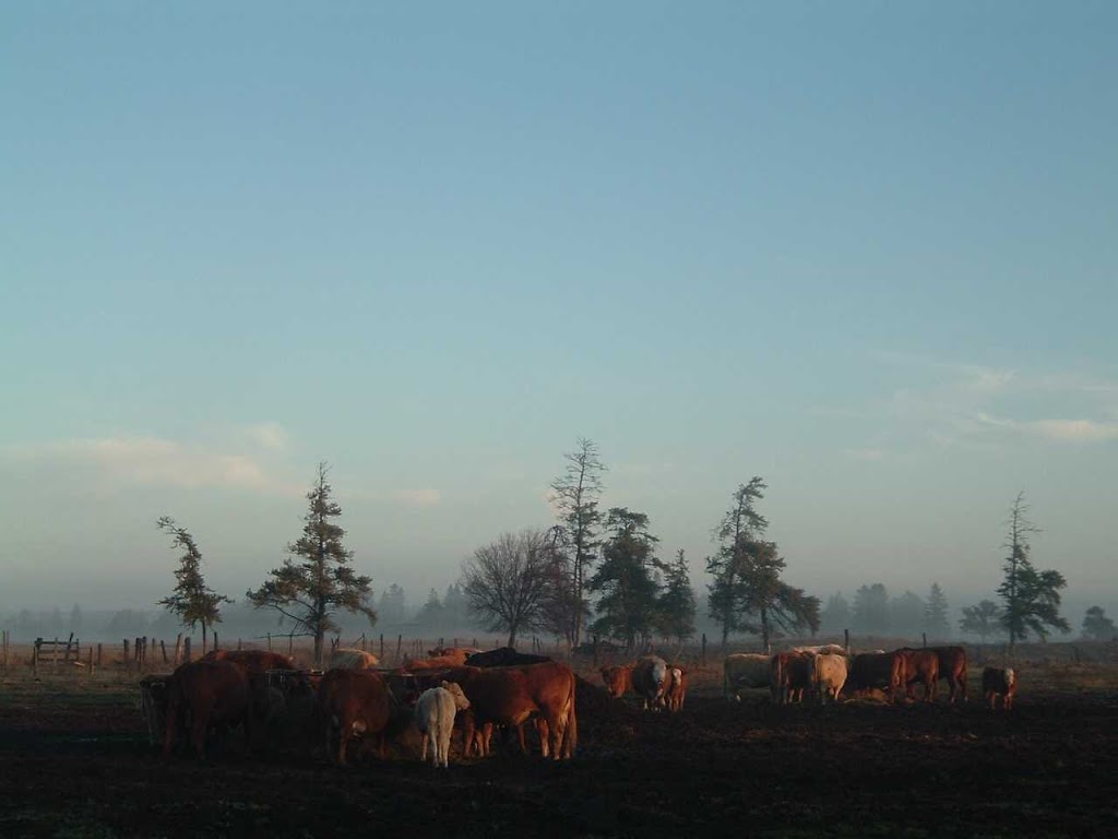 Sandy Acres Farm | 4154 ON-11 RR5, Murillo, ON P0T 2G0, Canada | Phone: (807) 939-2742
