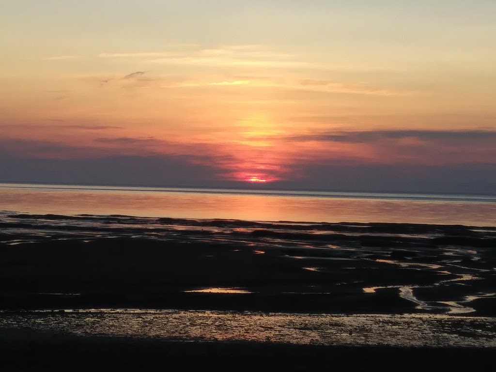 Whale Creek Campsite | 343, NS-215, Walton, NS B0N 2R0, Canada | Phone: (902) 757-3489