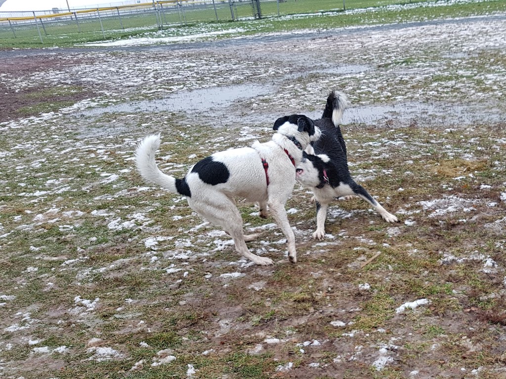 Truro - Bible Hill Off-Leash Dog Park | Lorne St, Truro, NS B2N 2C9, Canada | Phone: (902) 893-6078