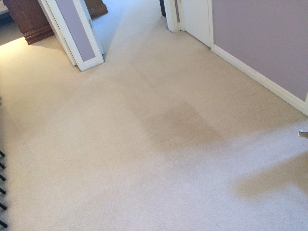 Steam Kleen | 4632 Yonge St Unit 200, Toronto, ON M2N 5M1, Canada | Phone: (416) 801-9393
