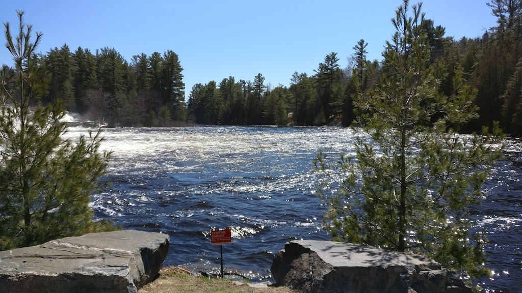 Fran Janes RMT | 459 Wilsons Falls Rd, Bracebridge, ON P1L 2G9, Canada | Phone: (705) 645-5510