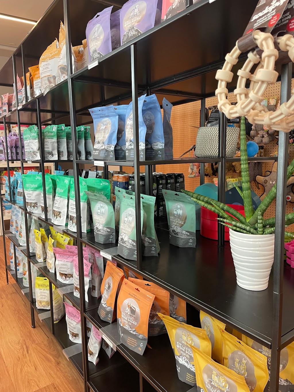 East Coast Dog | 3180 Isleville St, Halifax, NS B3K 3Y3, Canada | Phone: (902) 200-8332