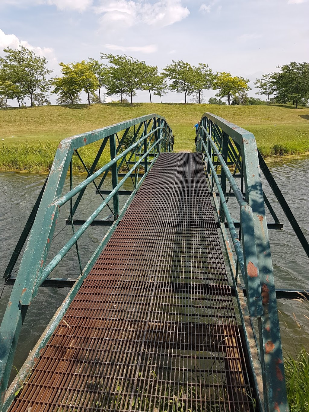 Rockway Vineyards Golf Course | 3290 Ninth St, St. Catharines, ON L2R 6P7, Canada | Phone: (905) 641-4536