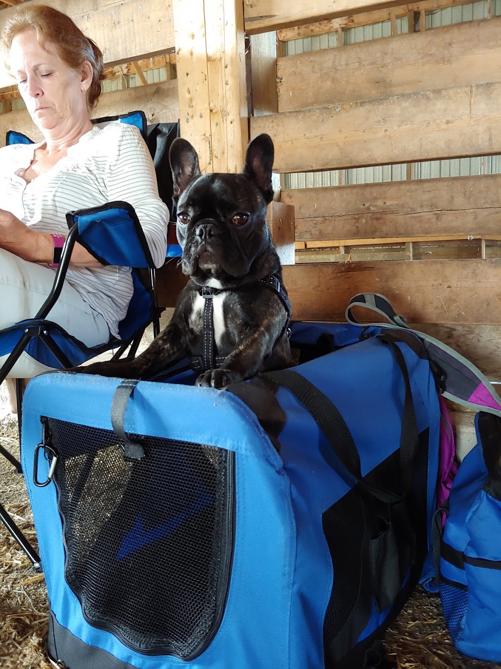 Maxville Fair Grounds | 35 Fair St, Maxville, ON K0C 1T0, Canada | Phone: (613) 527-2014