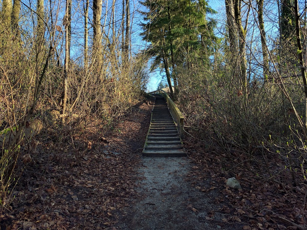 Royal Heights Park | 9797 115a St, Surrey, BC V3V 3Z1, Canada