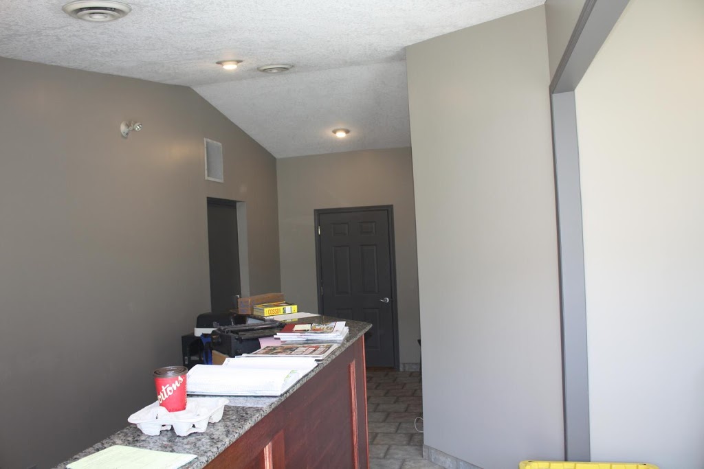 SNOW LEOPARD PAINTERS | 4850 Westwinds Dr NE #235, Calgary, AB T3J 3Z5, Canada | Phone: (403) 404-4663