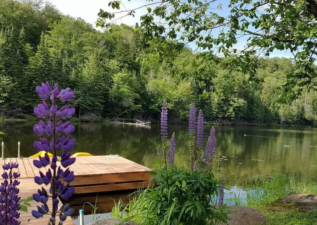 Agence de location LOUER UN CHALET LAURENTIDES | 2229 Chemin du Domaine, Saint-Adolphe-dHoward, QC J0T 2B0, Canada | Phone: (514) 718-4623
