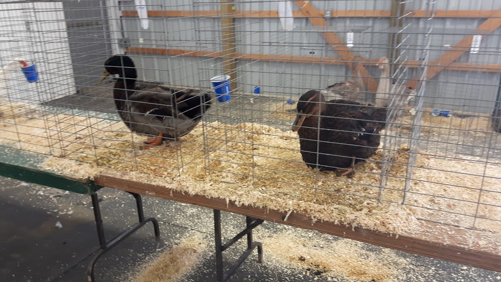 West Niagara Agricultural Centre & Fairgrounds | 7402 Mud St W, Grassie, ON L0R 1M0, Canada | Phone: (905) 309-9939