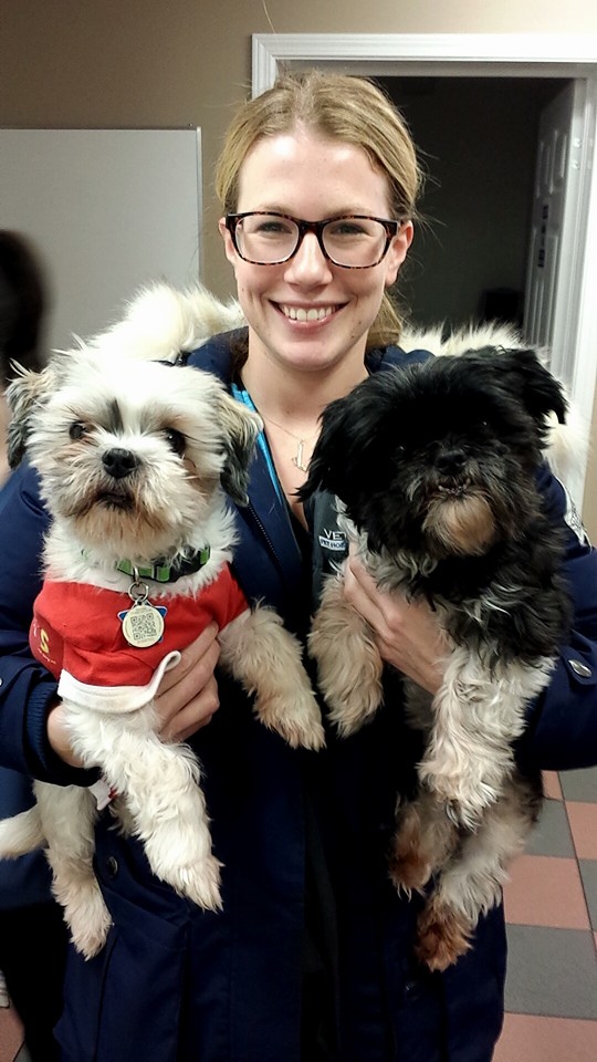 VetCare Pet Hospital | 30 Trites Rd, Riverview, NB E1B 2V6, Canada | Phone: (506) 388-8880