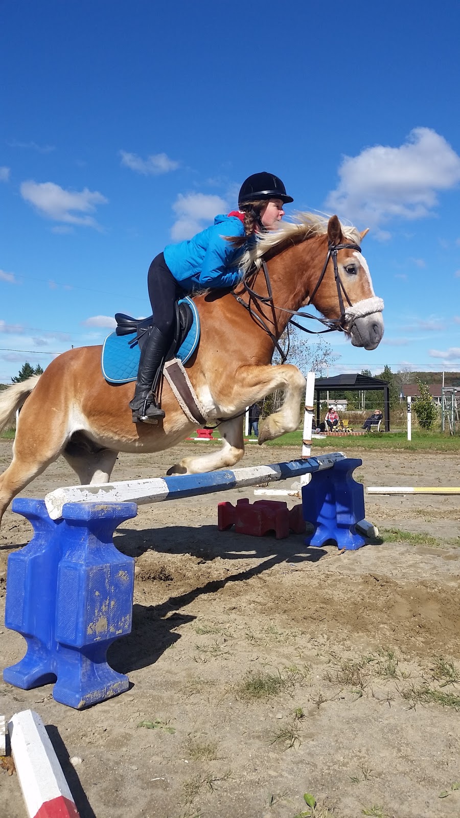 SEQS;Société DEquitation Quatre Saisons; | 6240 QC-112, Ascot Corner, QC J0B 1A0, Canada | Phone: (819) 829-4346