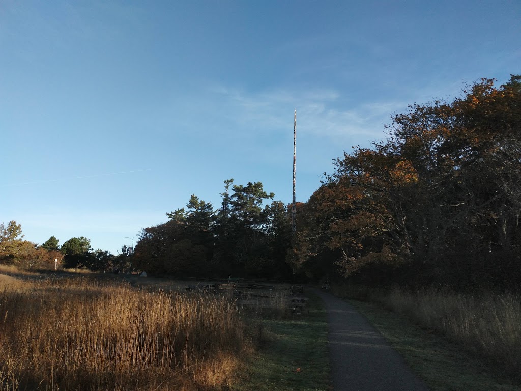 Worlds Tallest Free-Standing Totem Pole - 127 feet | Fairfield, Victoria, BC V8V, Canada | Phone: (250) 385-5711