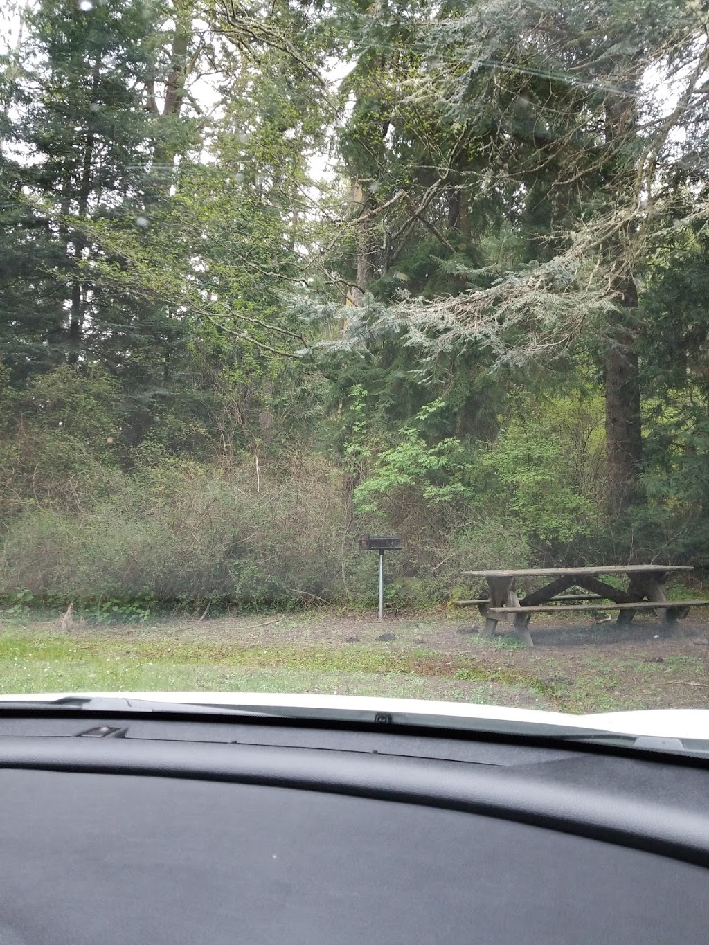 Pacific NW Trail | Pacific NW Trail, Oak Harbor, WA 98277, USA