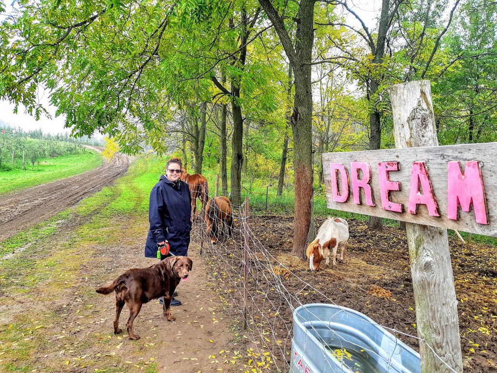 The Apple Orchard Inc. | 1668 ON-6, Hamilton, ON L8N 2Z7, Canada | Phone: (647) 456-6644