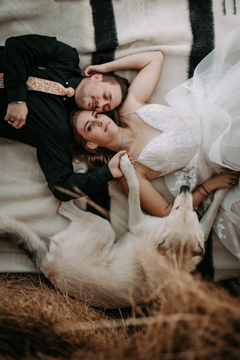 Jesse Kozij Photography | 350 5 Ave E, Three Hills, AB T0M 2N0, Canada | Phone: (780) 841-8264