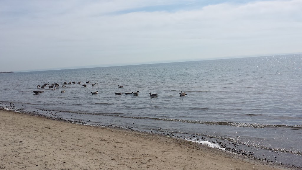 Bay Beach Club | 4325 Erie Rd, Ridgeway, ON L0S 1N0, Canada | Phone: (905) 894-6116