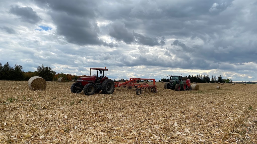 Burkharts Custom Farming | 2892 Hackbart Rd, St. Clements, ON N0B 2M0, Canada | Phone: (519) 635-4542