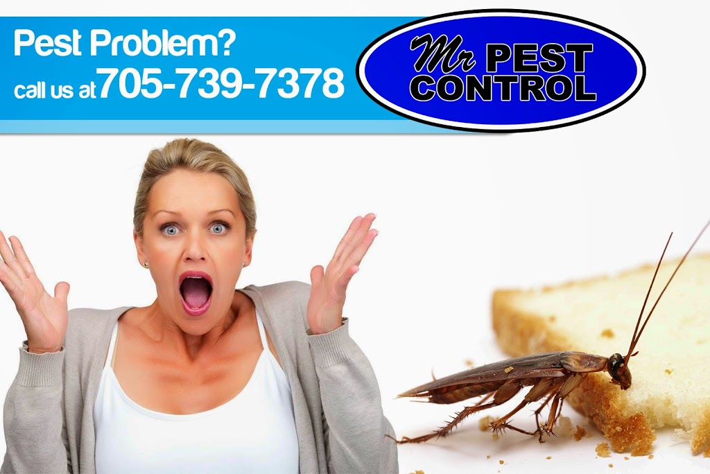 Mr Pest Control | 6 Maplehill Dr, Shanty Bay, ON L0L 2L0, Canada | Phone: (705) 739-7378