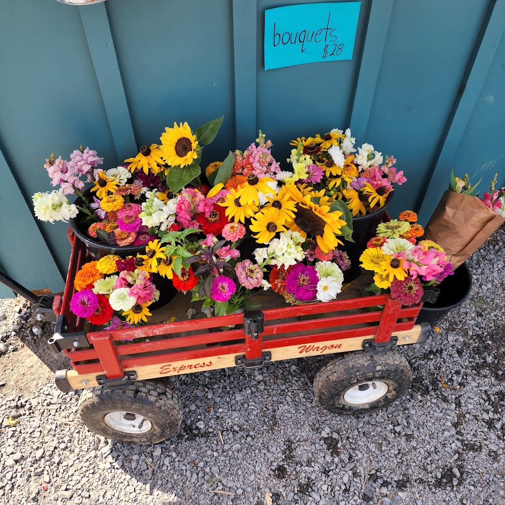Wynn Farms (Flowers and Sunflowers) | 9592 Loyalist Pkwy, Greater Napanee, ON K7R 3K7, Canada | Phone: (613) 881-0303