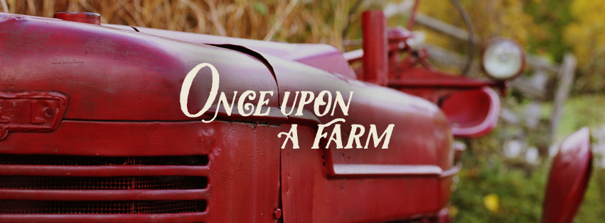 Chudleigh’s Entertainment Farm | 9528 Regional Rd 25, Milton, ON L9T 2X7, Canada | Phone: (905) 878-9547