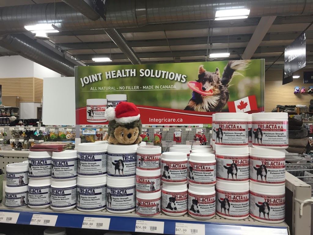 Rens Pets Oakville | 4002 Trafalgar Rd, Oakville, ON L6H 7B7, Canada | Phone: (905) 257-4611