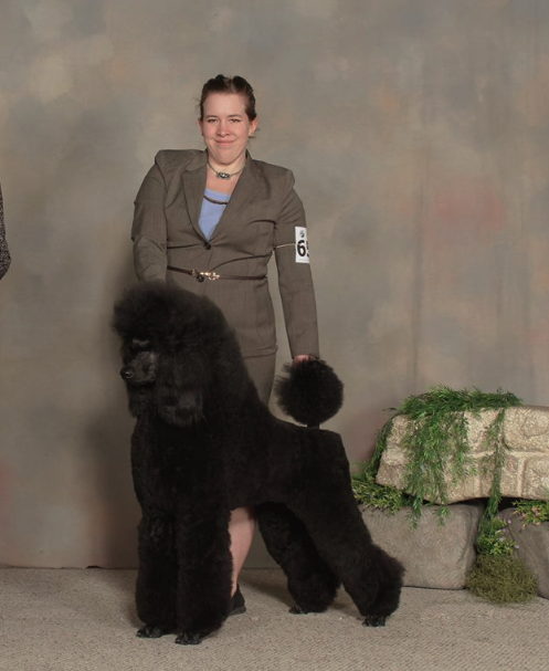 Mystic Pawz Dog Grooming | Midnapore, Calgary, AB T2X 1C7, Canada | Phone: (403) 251-7297