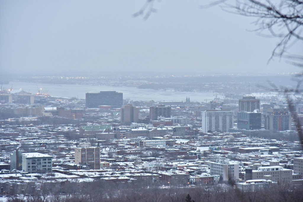 Terrain 275 | 1576 Voie Camillien-Houde, Montréal, QC H2W 1S8, Canada | Phone: (514) 868-3737