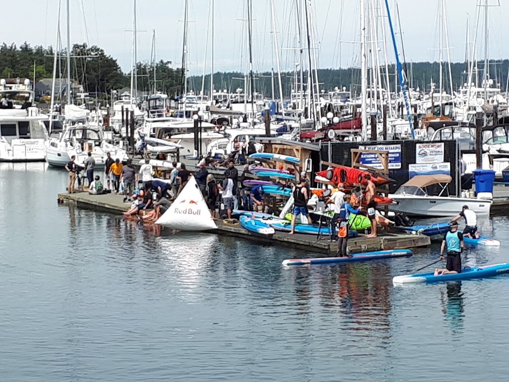 Blue Dog Kayaking | 9835 Seaport Pl, Sidney, BC V8L 4X3, Canada | Phone: (250) 710-7693