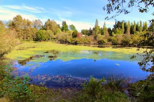 Hallmark on the Lake | 31622 Charlotte Ave, Abbotsford, BC V2T 3Z9, Canada | Phone: (604) 853-8993