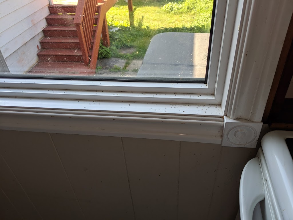 Kirkfield Cottage | 5 Robinson Ave, Kirkfield, ON K0M 2B0, Canada | Phone: (416) 575-5055
