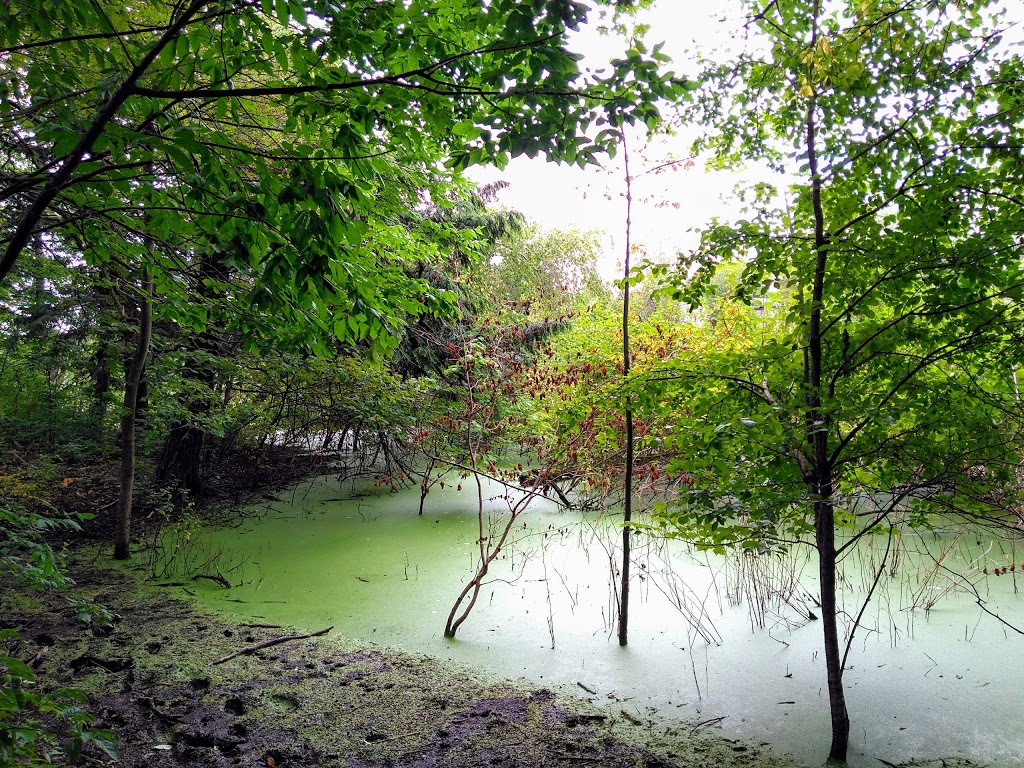 Bay Ridges Kinsmen Park | 705 Sandy Beach Rd, Pickering, ON L1W 3X5, Canada | Phone: (905) 683-7575