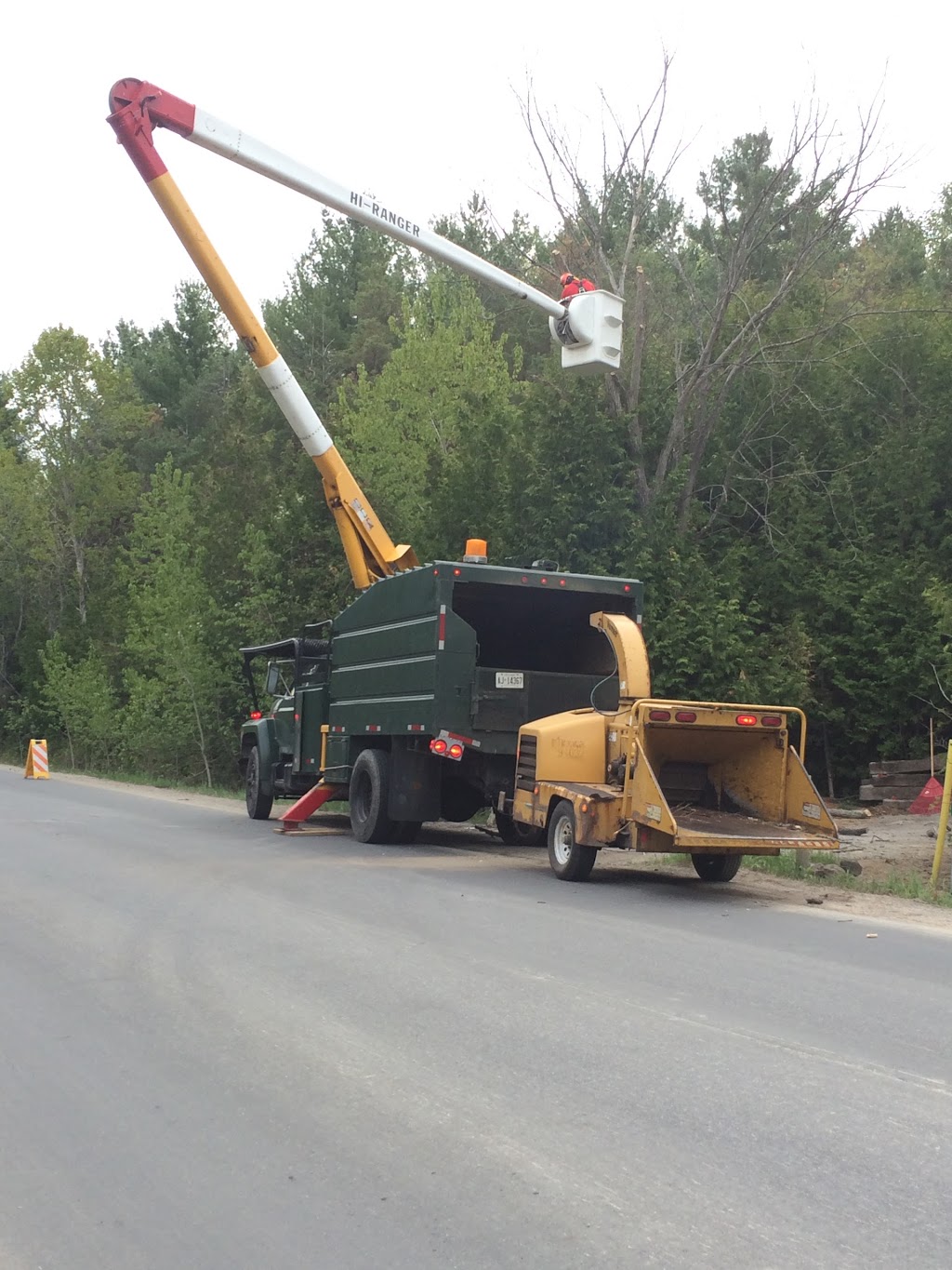 Maplecrest Tree Services | 8988 Webster Rd, Glencairn, ON L0M 1K0, Canada | Phone: (647) 501-4954