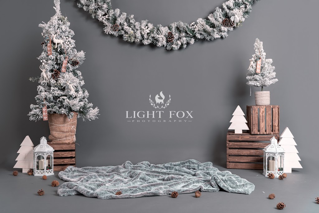 LIGHT FOX PHOTOGRAPHY | 30 Willow Springs Crescent, Sylvan Lake, AB T4S 1G1, Canada | Phone: (587) 377-8690