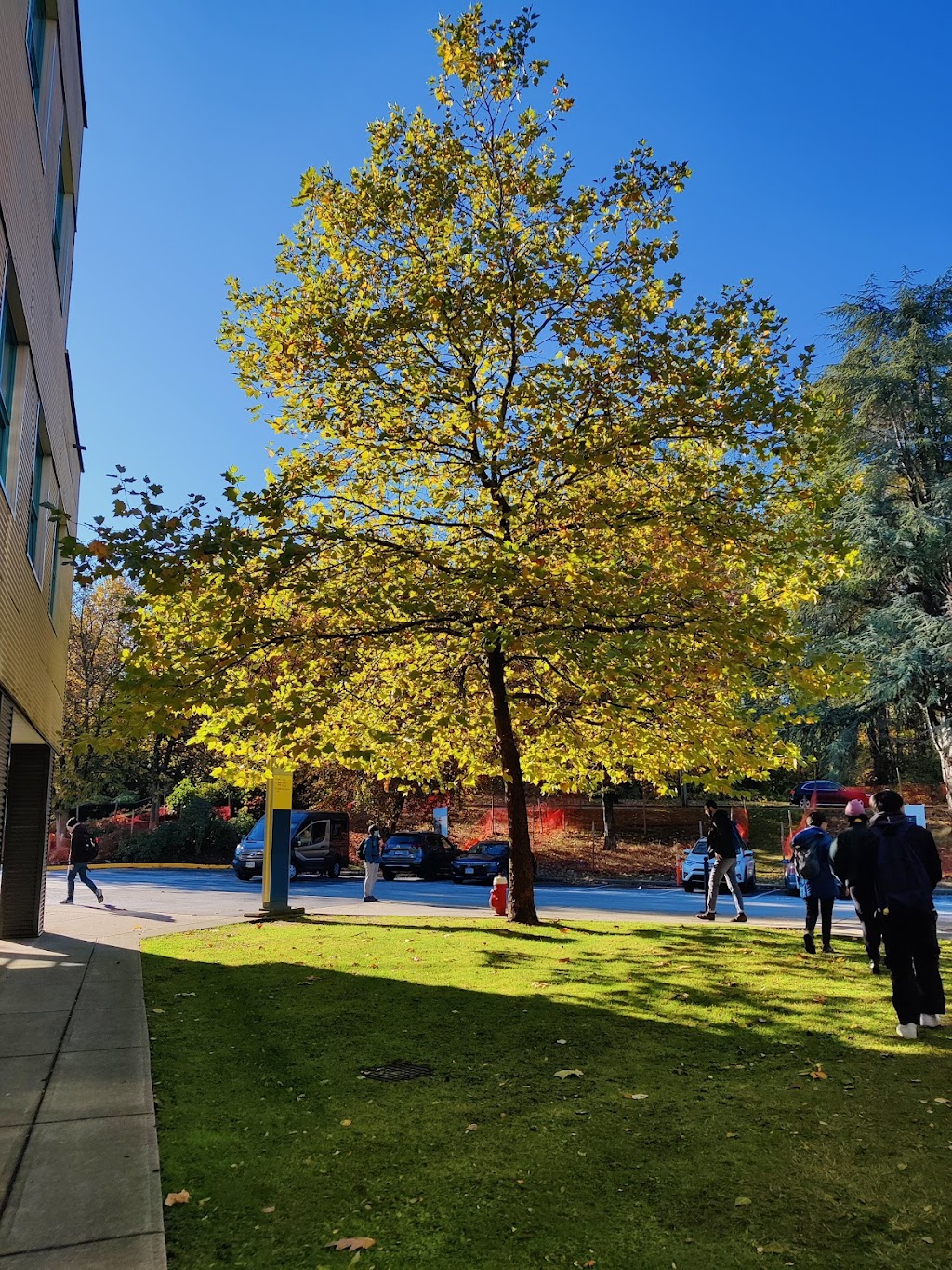 British Columbia Institute of Technology | SW 3, White Ave, Burnaby, BC V5G 3H2, Canada | Phone: (604) 434-1610